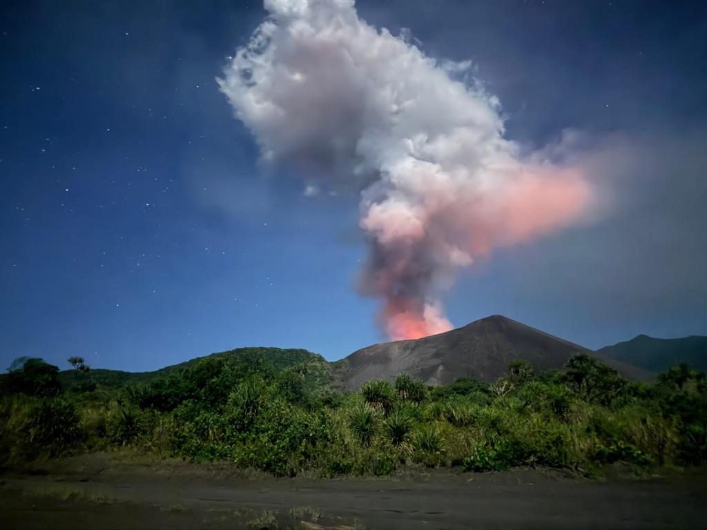 Naturlandskabet i nærheden af lejligheden