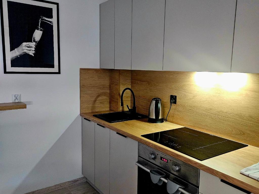 een keuken met een spoelbak en een fornuis bovenste oven bij Apartament Studio Centrum in Człuchów