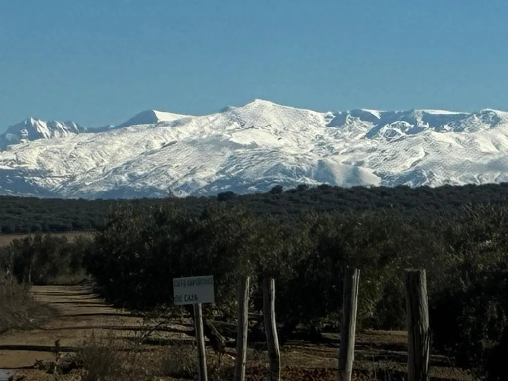 Los 10 mejores hoteles con piscina de Montefrío, España | Booking.com