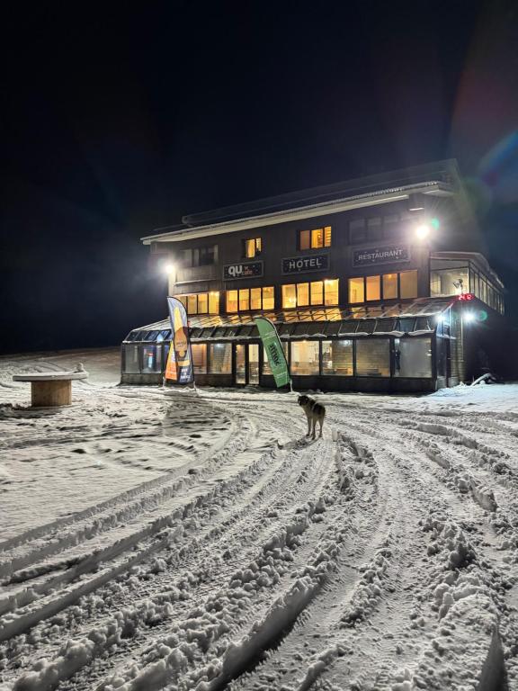 a dog standing in the snow in front of a building at Chalet Vasilitsa in Grevena