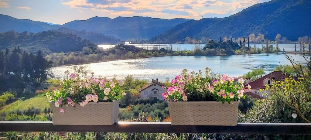 two potted flowers on a railing with a view of a river at Apartman ELLA in Peračko Blato