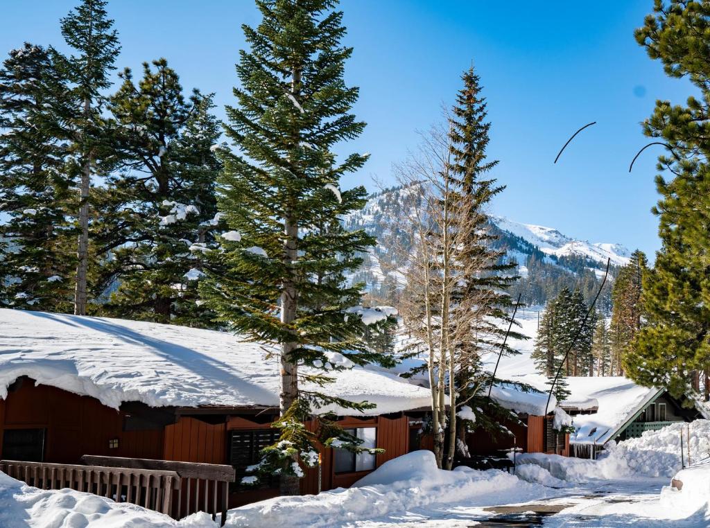 une cabane dans la neige avec des arbres et des montagnes dans l'établissement Canyon Lodge properties by 101 Great Escapes, à Mammoth Lakes