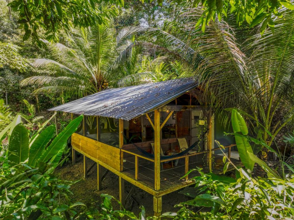 En have udenfor Private jungle “Loft del Rio” river access