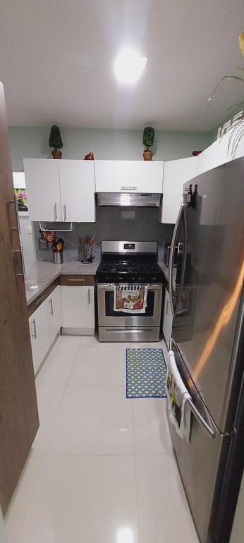 una cucina con frigorifero in acciaio inossidabile e mobili bianchi di Cozy & Charming a Santo Domingo