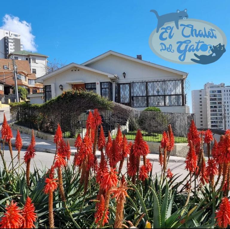 un bouquet de fleurs rouges devant une maison dans l'établissement El Chalet del Gato, apartamento 3, à Viña del Mar