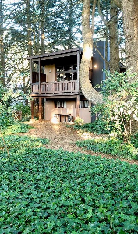 a house with a balcony in the middle of a forest at Posta Chimango, Cabañas frente al Golf Los Acantilados in Mar del Plata