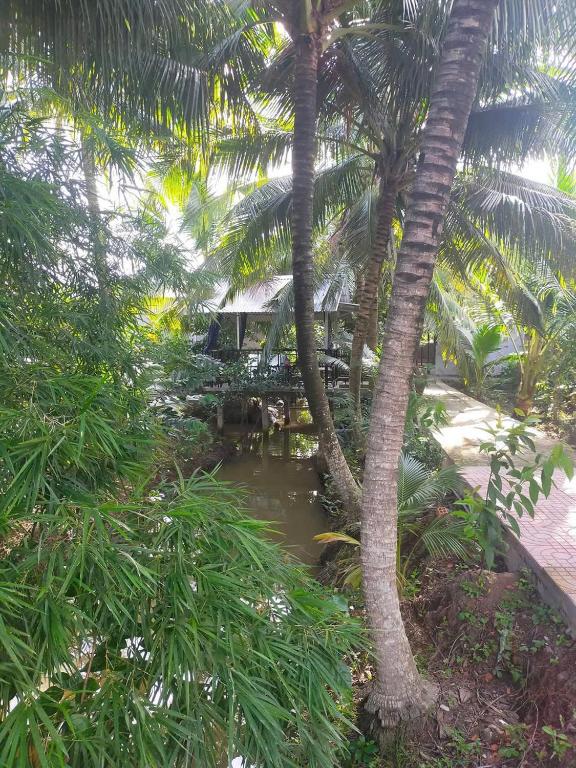 a view of a river with palm trees at Home Vuon Dua in Ấp Nhứt (1)