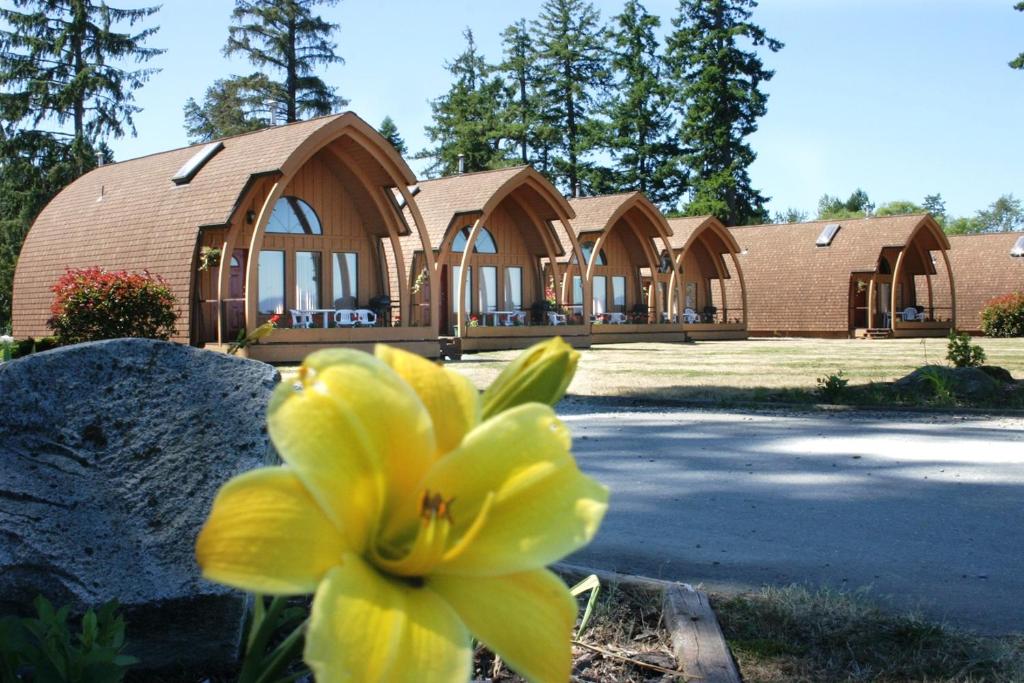 a yellow flower in front of a building at Oyster Bay Resort in Oyster Bay