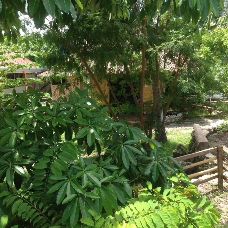 Liwayway sa Bohol Pamilacan Resort - Chalet
