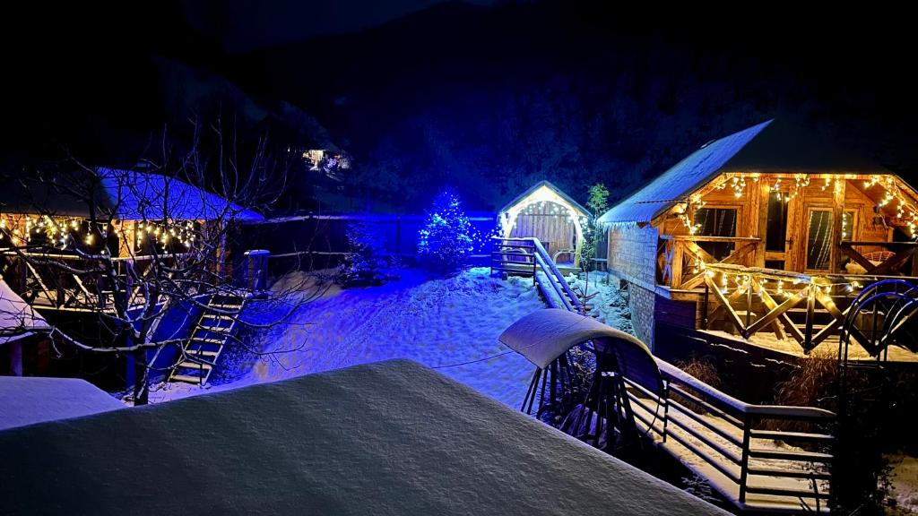 ein nachts beleuchteter Garten mit Weihnachtsbeleuchtung in der Unterkunft VIP-Domyk in Rachiw