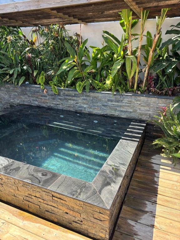 a swimming pool in a wooden box with plants at Location l'îlot tropical in Le Bois de Nèfles