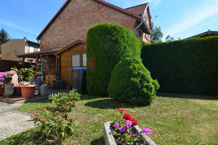 Ferienhaus Wotan - 12