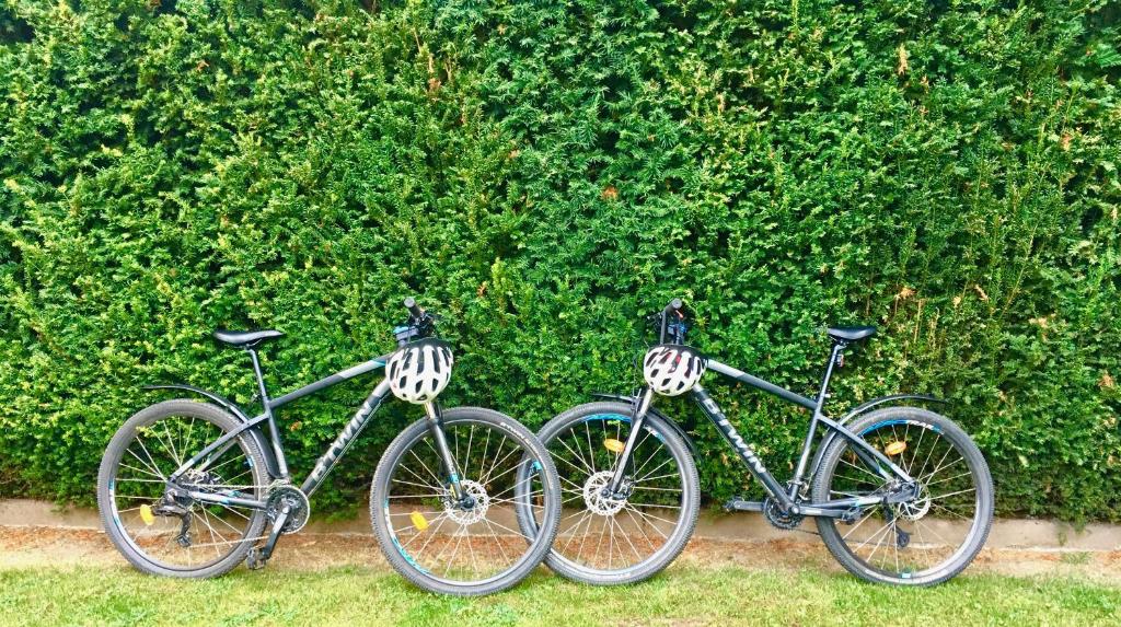 Chambre d'hôtes Du côté des remparts - 19