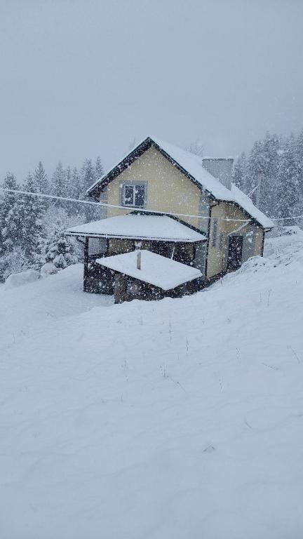 Котедж "Зорі Карпат" v zimě
