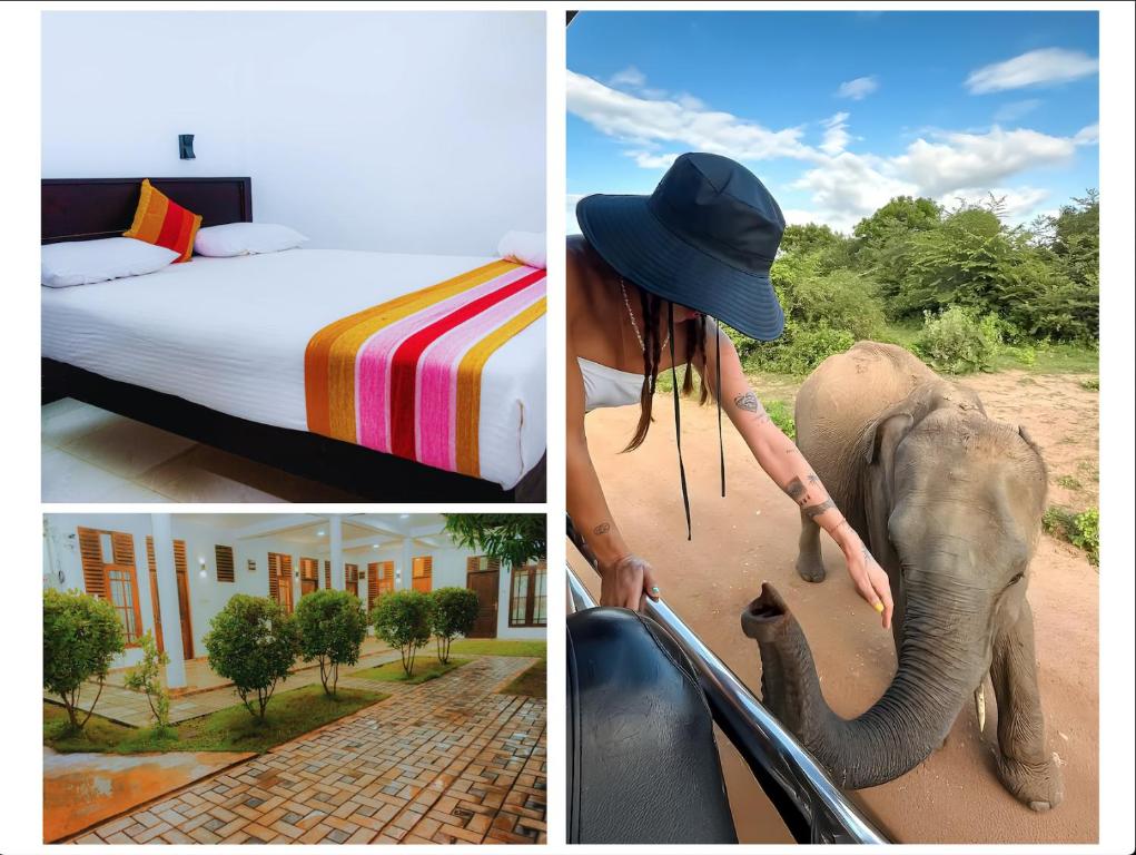 un collage di immagini con una donna e un elefante di River Shade Inn a Tissamaharama