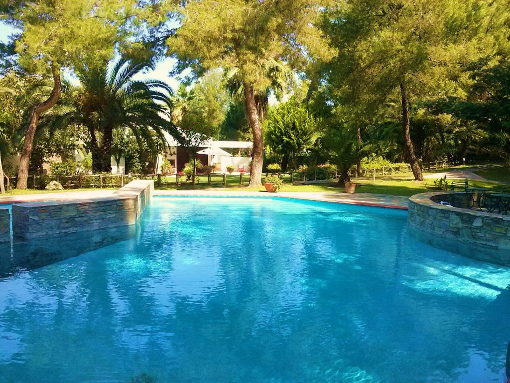 撒尼海灘的住宿－Sani Villa Maria，一个种有树木的大型蓝色游泳池