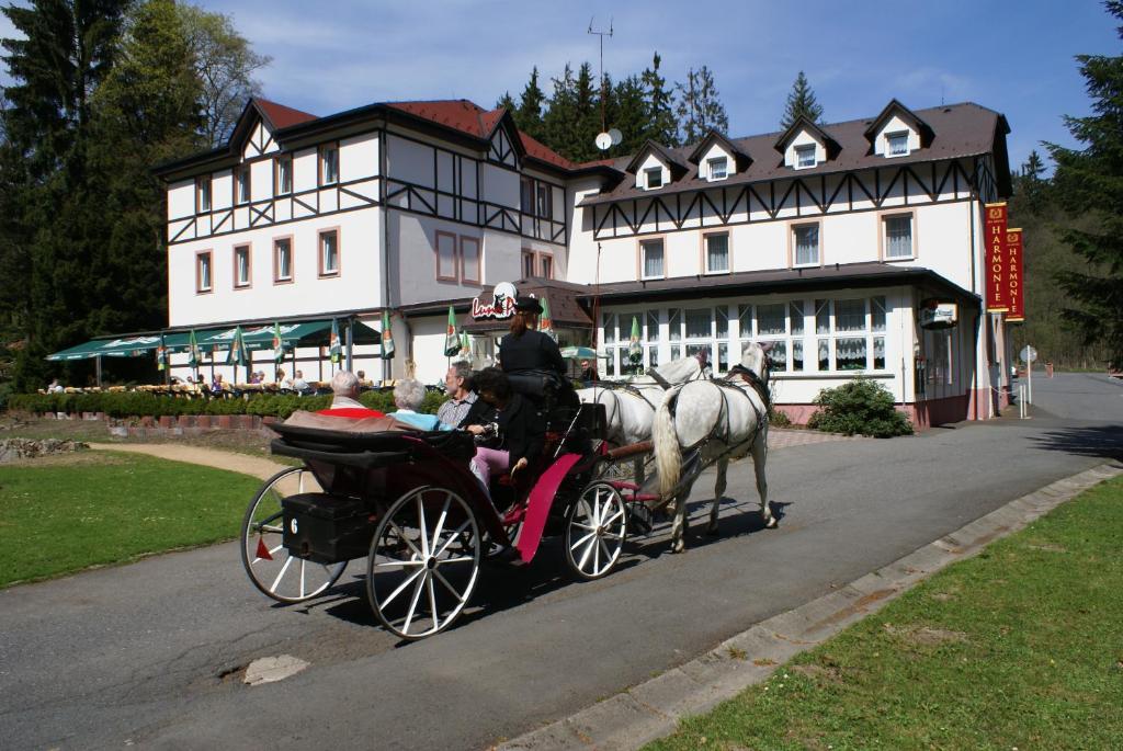 Hosté ubytování Spa & Wellness Hotel Harmonie