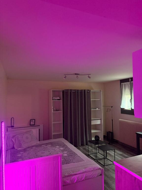 een kamer met een bed met een paars plafond bij Studio cosy et calme à Garches in Garches
