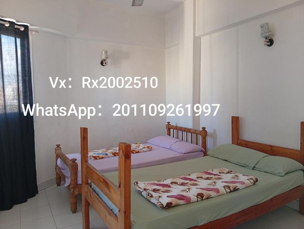 two bunk beds in a room with a window at Youth Hostel in Marsa Matruh