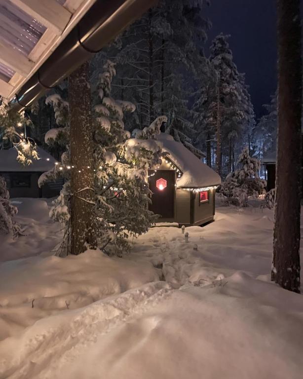 Sappee Peak Cabin - Bike, Fire, Snow & Adventure - Two-Bedroom Apartment