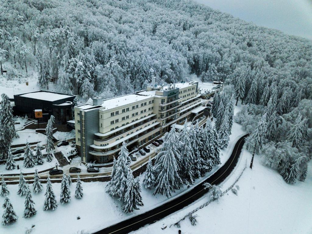 un hôtel dans la neige avec des arbres enneigés dans l'établissement Balvanyos Resort - Peakture Hotel & Grand Hotel Balvanyos, à Bálványos