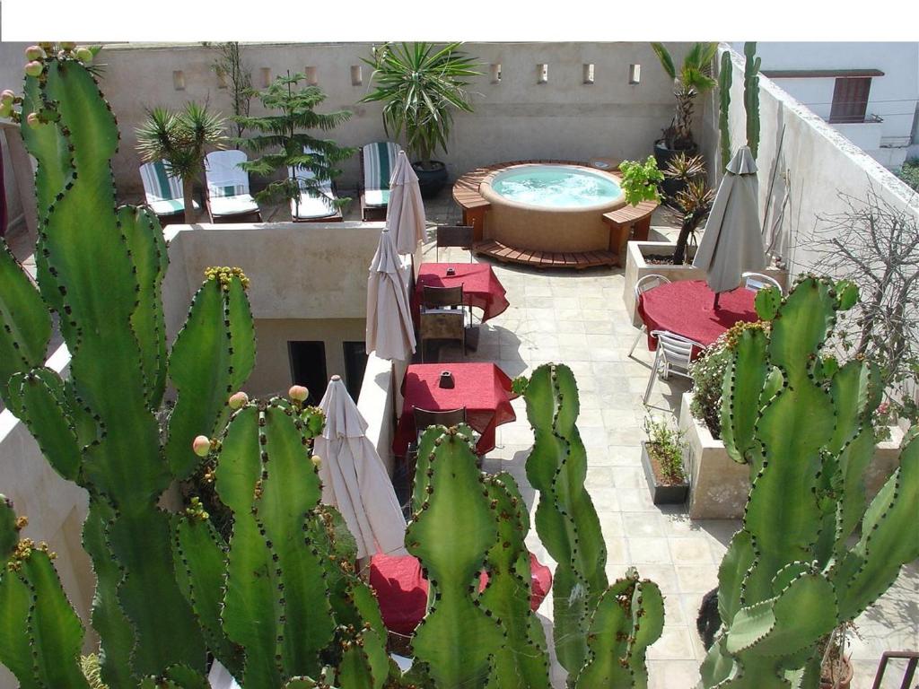 - une vue sur une terrasse avec une piscine et un cactus dans l'établissement Riad La Villa & Spa, à El Jadida