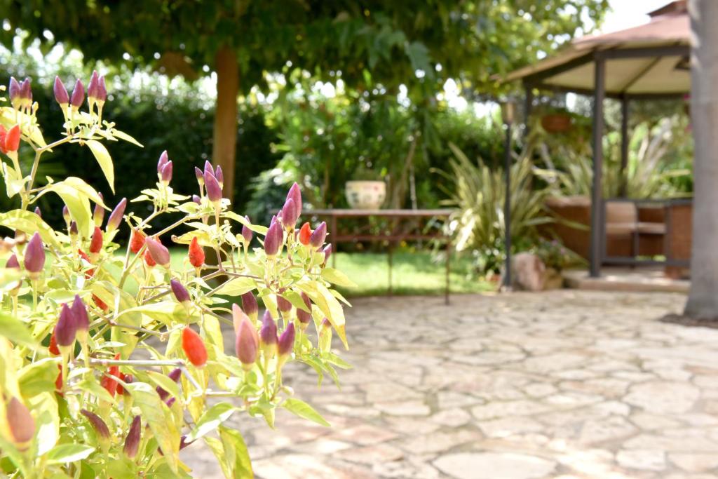 Ogród w obiekcie B&B Villa Anastasia Club