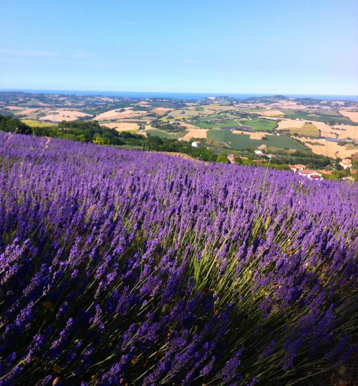 L'Infinito photo