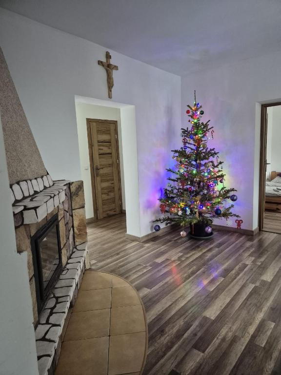 Siedlisko Pod Babią Góra - Appartement 3 Chambres