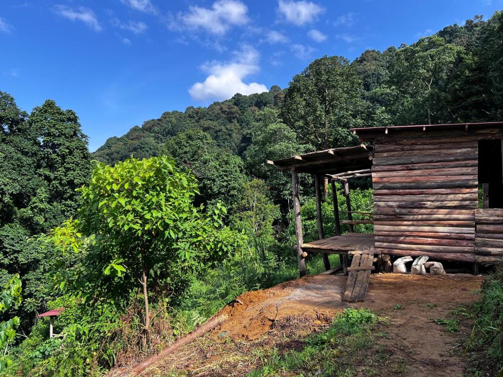 une cabane en bois au milieu d'une montagne dans l'établissement Migogo Gorilla Lodge, à Rubuguli