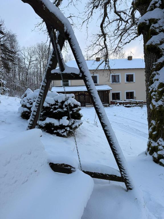 a swing in a yard covered in snow at Gaiziņstars in Bērzaune
