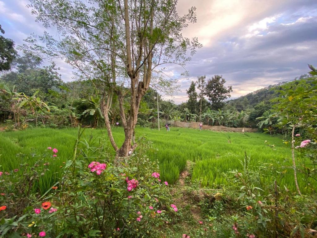a field with a tree and pink flowers at Diyaluma Villa Resort in Koslanda