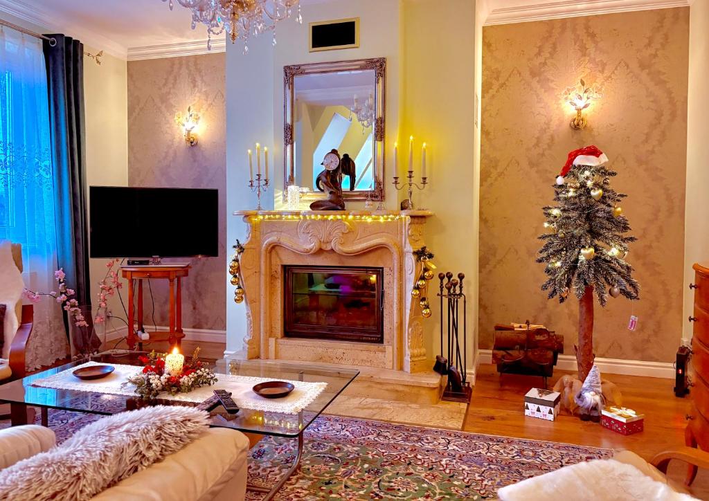 un soggiorno con un albero di Natale e un camino di Apartament Pers - ciepło, cisza i klimat a Szczawno-Zdrój