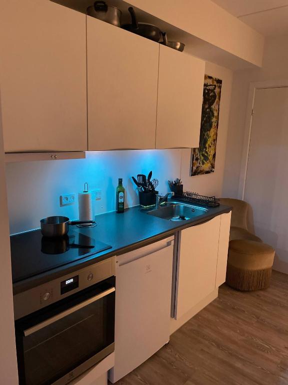 a kitchen with a sink and a stove top oven at Lake view, private balcony in Skanderborg