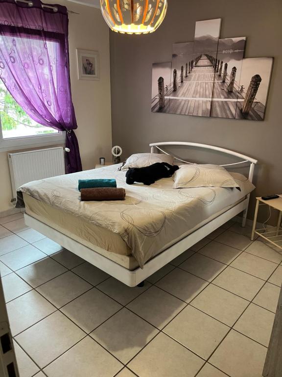 een bed met twee honden erop in een slaapkamer bij Chambre calme dans villa in Andrézieux-Bouthéon