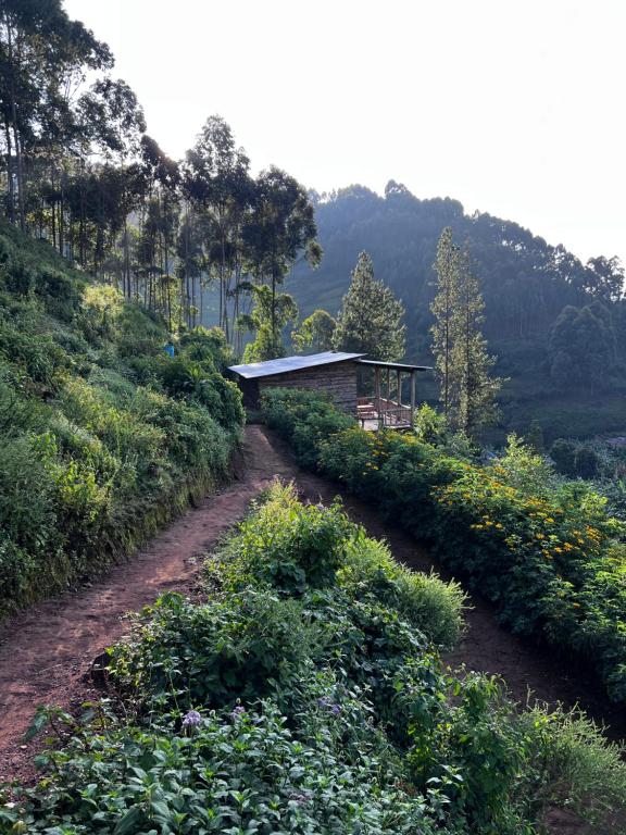 Naturlandskabet i nærheden af lodgen