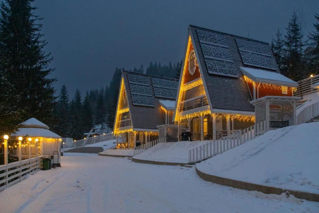 Freeman-3a - двокімнатний апартамент на увесь перший поверх котеджу - це виокремлена незалежна ЧАСТИНА БУДИНКУ з окремим входом з великою терасою та грилем для 4 гостей om vinteren