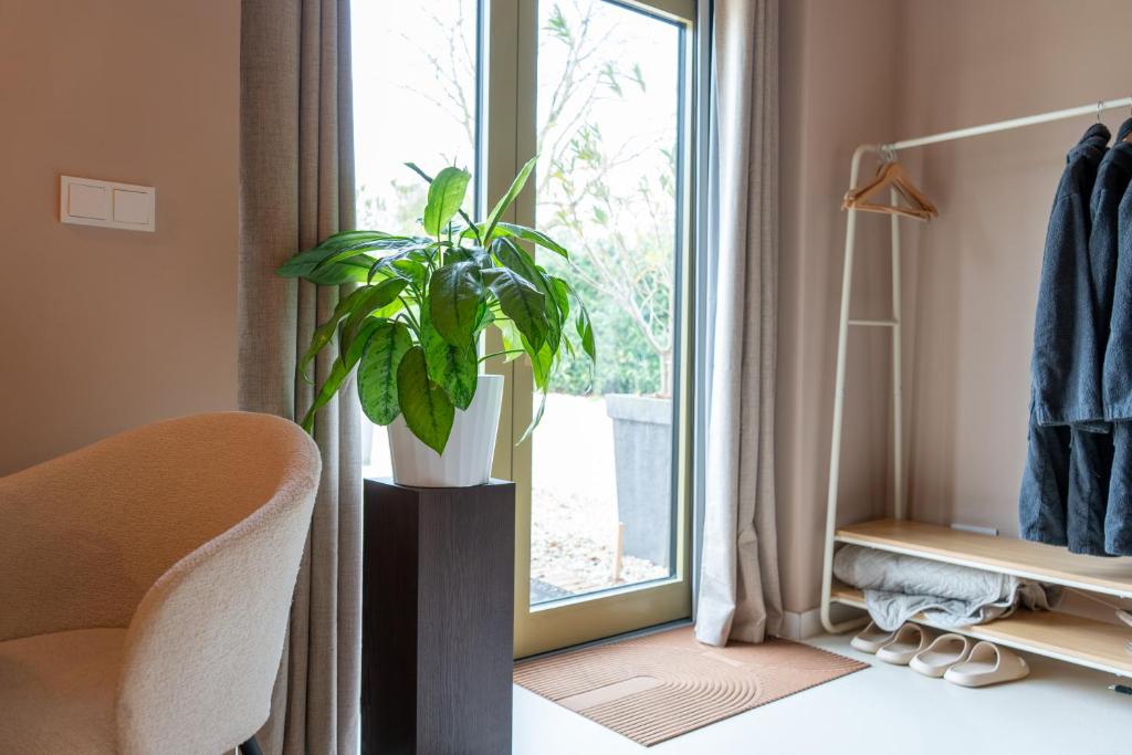 una pianta in un vaso seduta accanto a una finestra di Mera Luxe Wellness B&B, Adults Only, Ibiza-Bohemian Style Suites, Prive Outdoor Wellness, Massage, Vuurkorf, Gratis Wijn-Bubbels a America