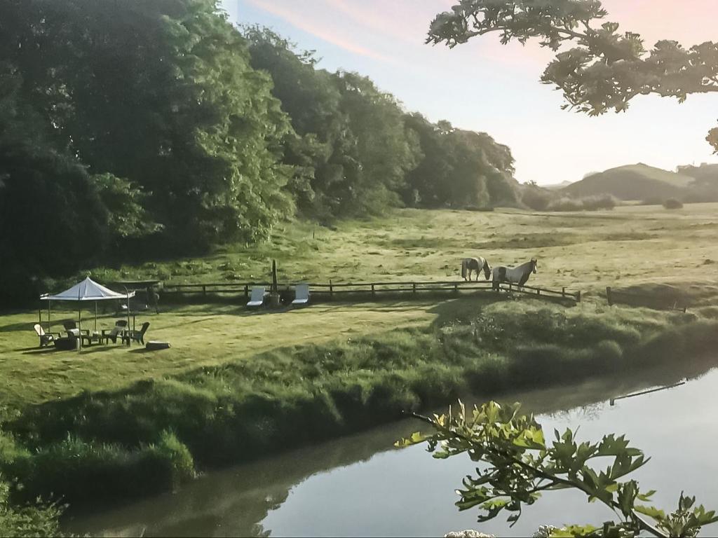 two horses standing in a field next to a river at Harperfield Chalet in Lanark