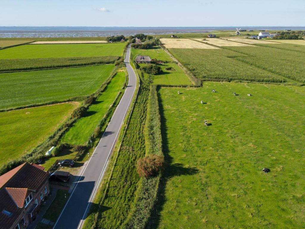 an aerial view of a road in a field at Apartment Nice Holidays by Interhome in Pellworm