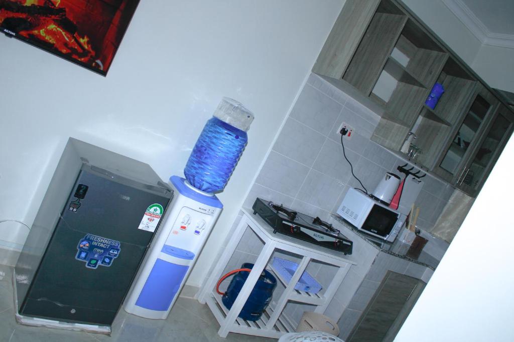 Een luchtfoto van een keuken met een fles water. bij Luxe Homes in Meru