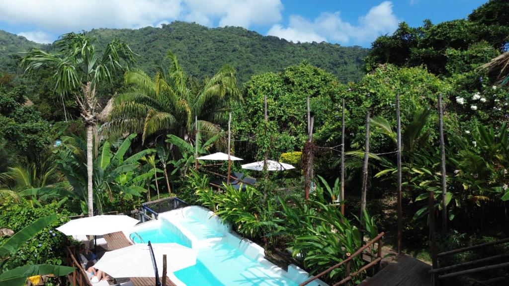 een uitzicht op een jungle met parasols en bomen bij The Valley Tayrona hostel- A social jungle hostel in El Zaino