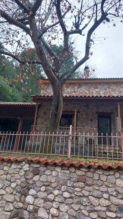 una casa con una recinzione accanto ad un albero di Zachlorou a Kalavrita