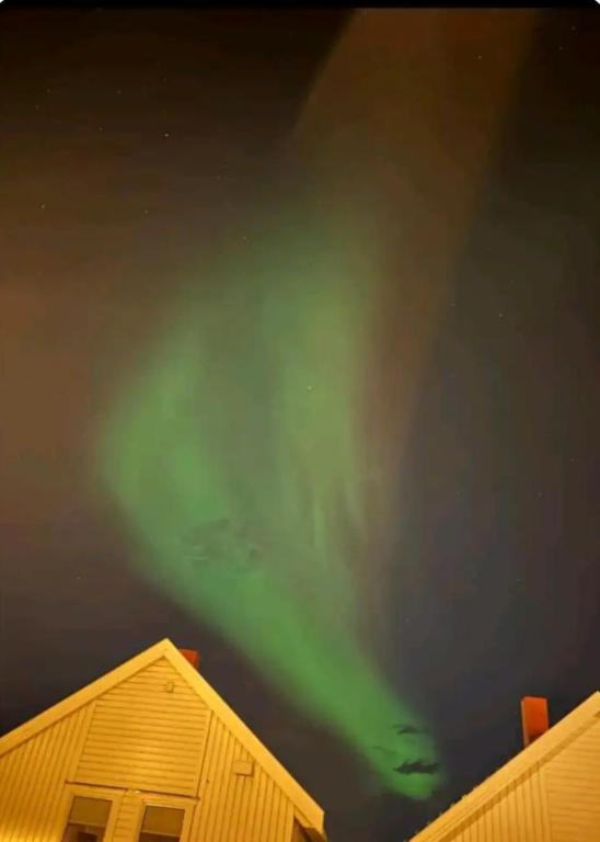 an aurora in the sky above a house at Casa Reinen in Trondalen