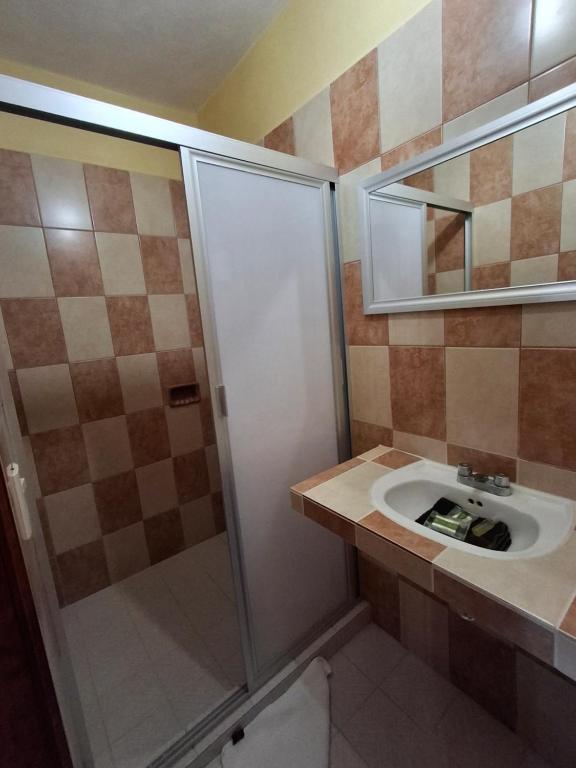 een badkamer met een douche en een wastafel bij Hotel planetario in San Miguel de Allende