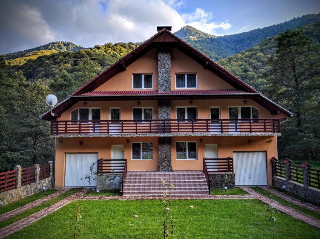 a large house with a mountain in the background at Cabana Ovidiu in Râu de Mori
