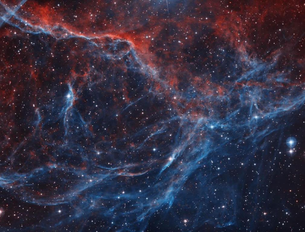 Fotografie z fotogalerie ubytování The Jackson House v destinaci Jackson