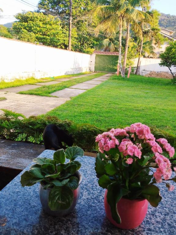 two potted plants are sitting on a table next to at Quarto Grande na Praia do Guaiúba! in Guarujá