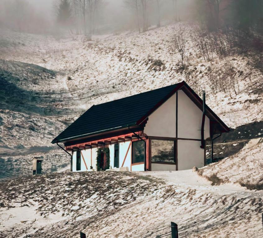 una piccola casa in cima a una collina innevata di The White House Tripsylvania a Şirnea