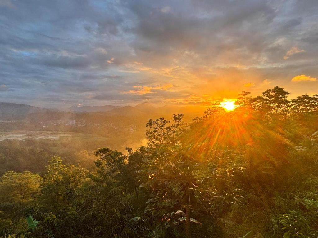 un'alba su una foresta con il sole nel cielo di Mystay a Kandy